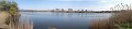 pano 41